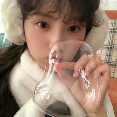 白玫瑰