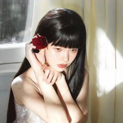 飞燕迎春